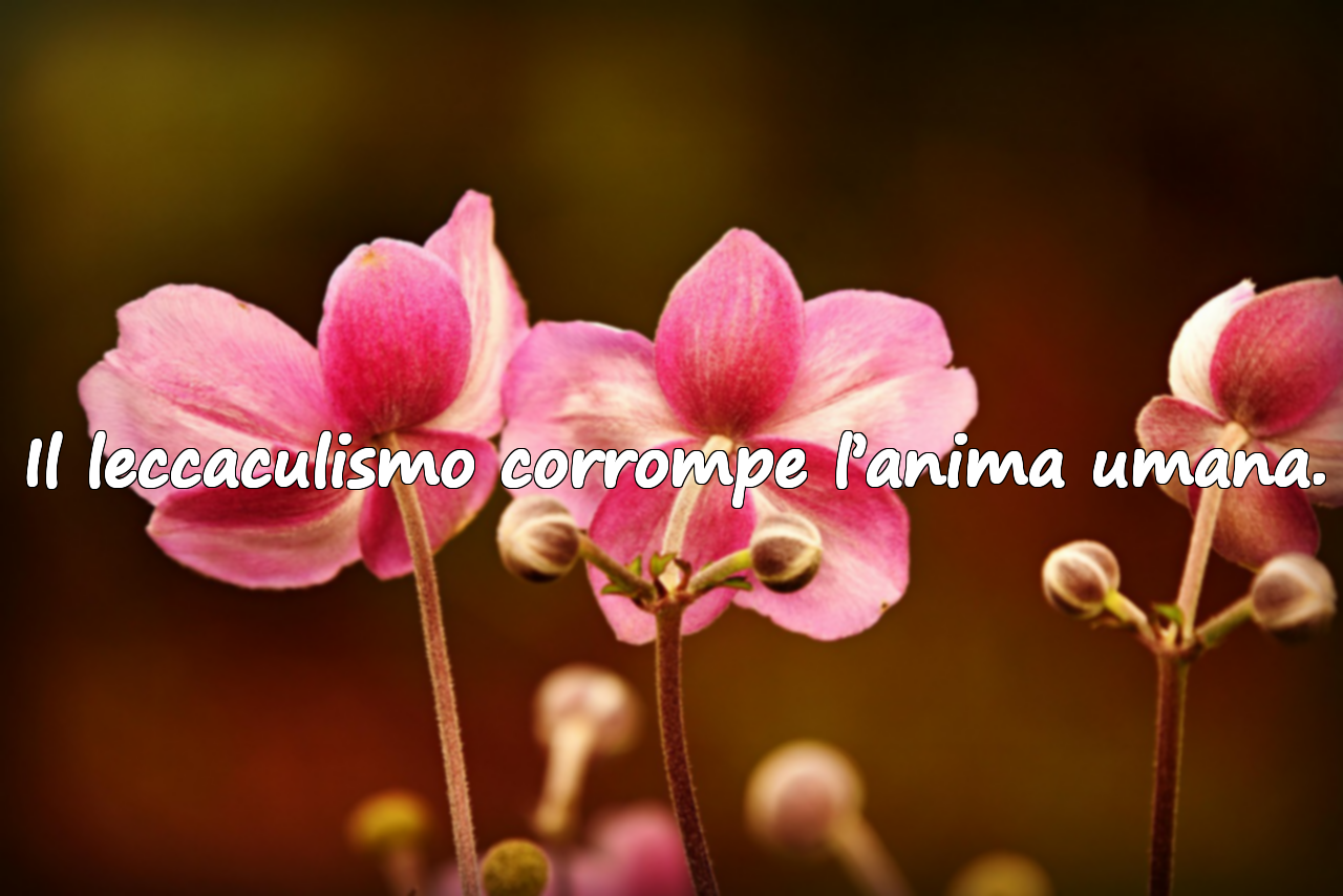 Il leccaculismo corrompe l’anima umana.