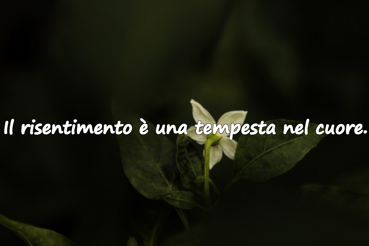 Il risentimento è una tempesta nel cuore.