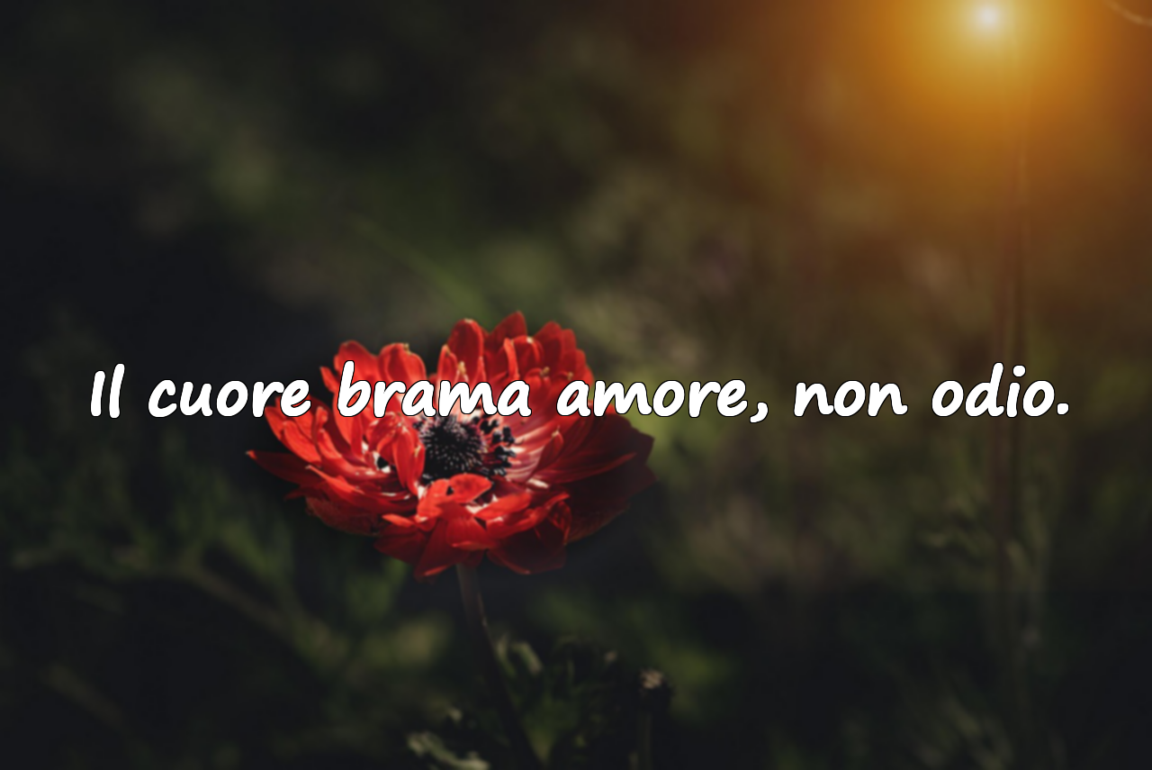 Il cuore brama amore, non odio.