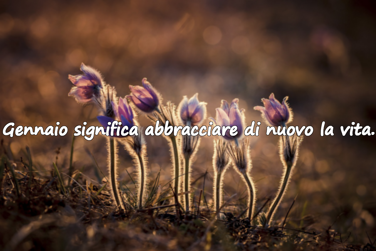 Citazioni sul mese di gennaio