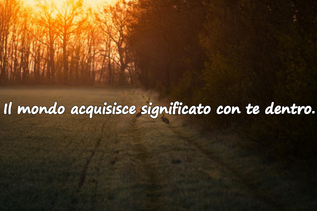 Citazioni sul mondo