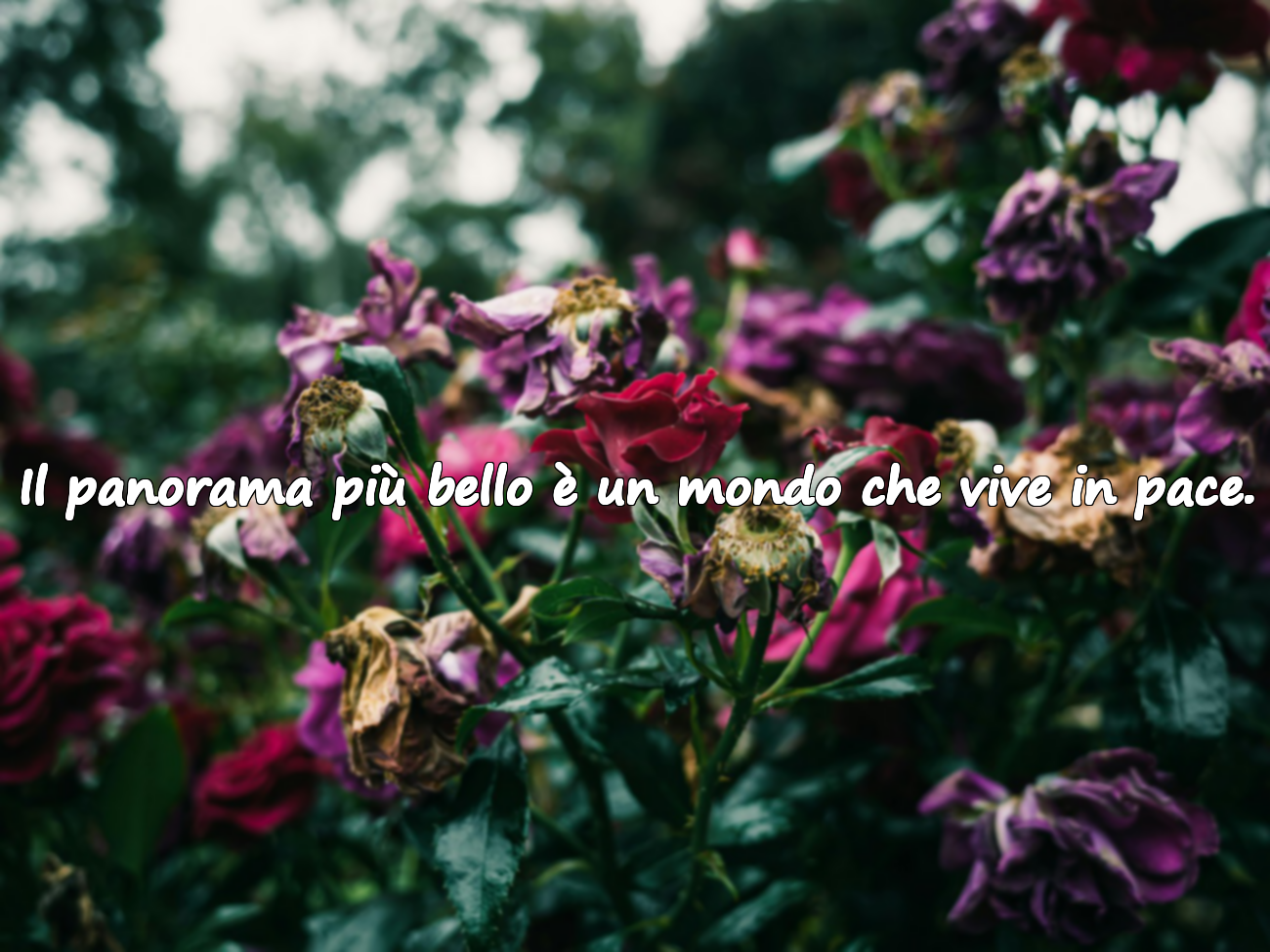 Citazioni sul mondo