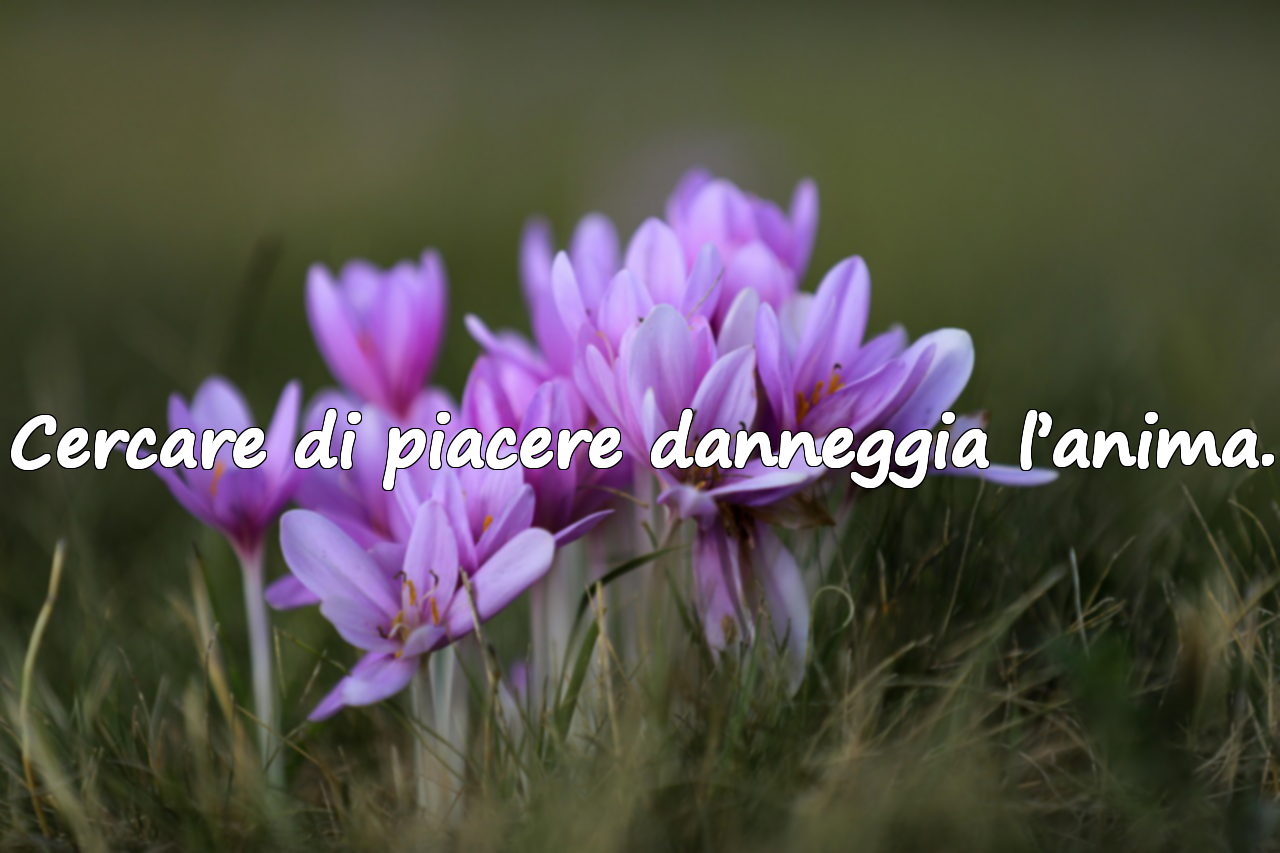 Cercare di piacere danneggia l’anima.