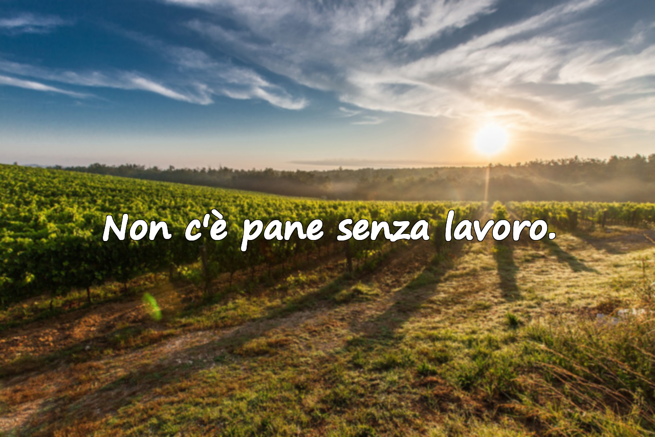 Citazioni sull'impegno