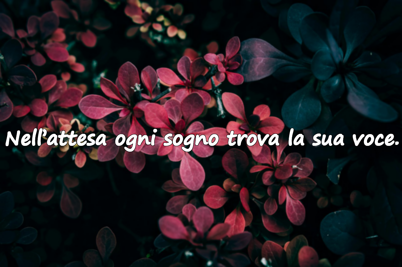 Citazioni sull’attesa