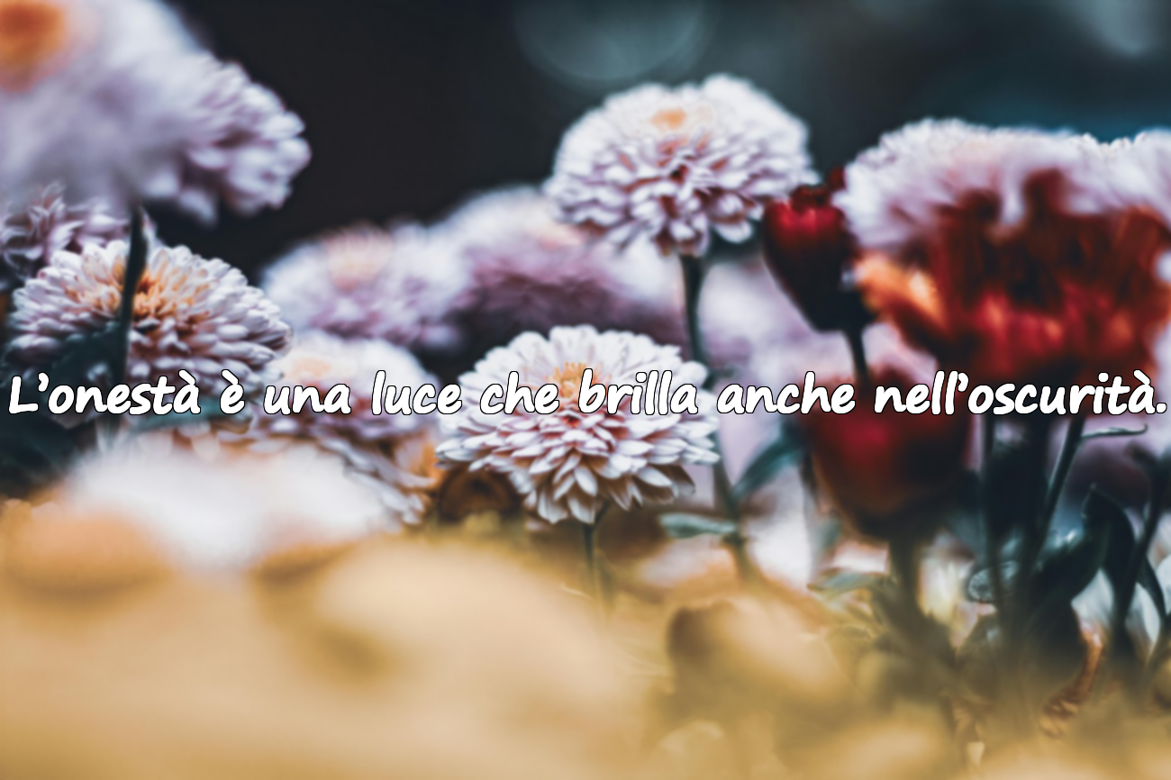 L’onestà è una luce che brilla anche nell’oscurità.