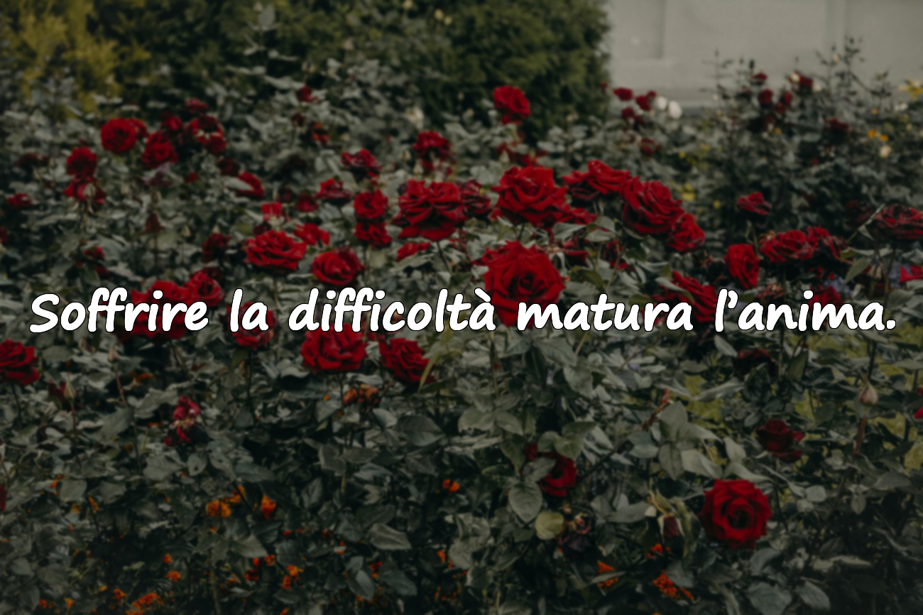 Soffrire la difficoltà matura l’anima.