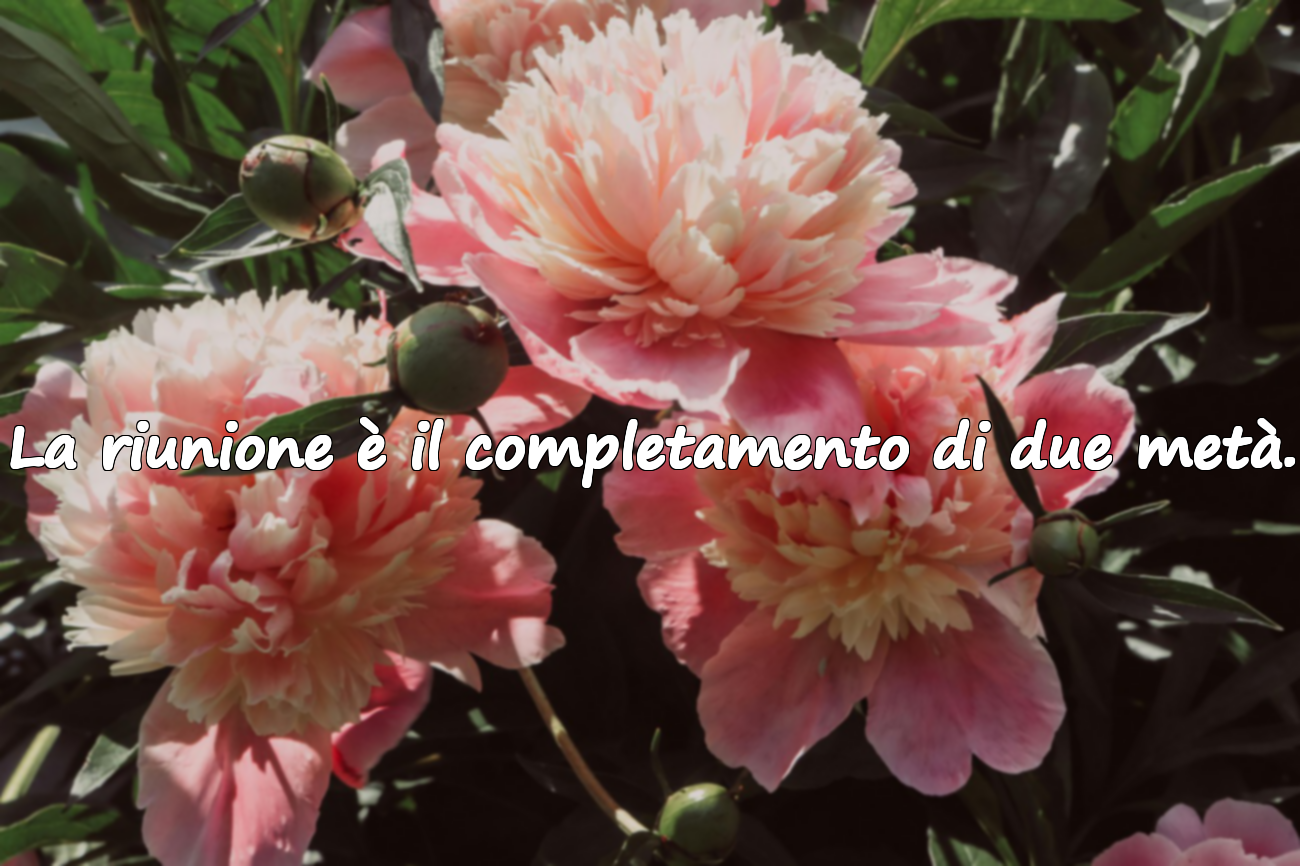 La riunione è il completamento di due metà.