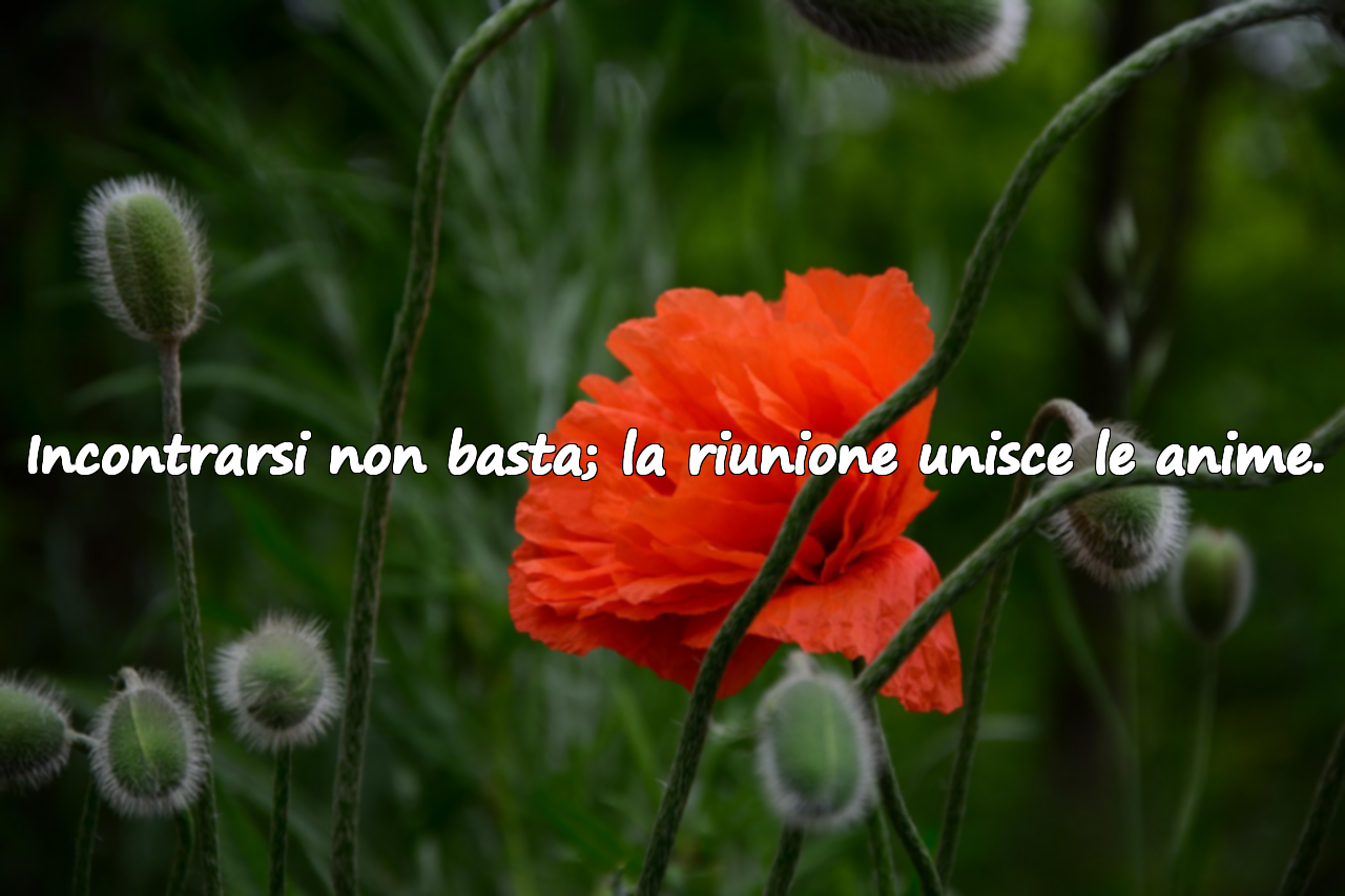 Incontrarsi non basta; la riunione unisce le anime.