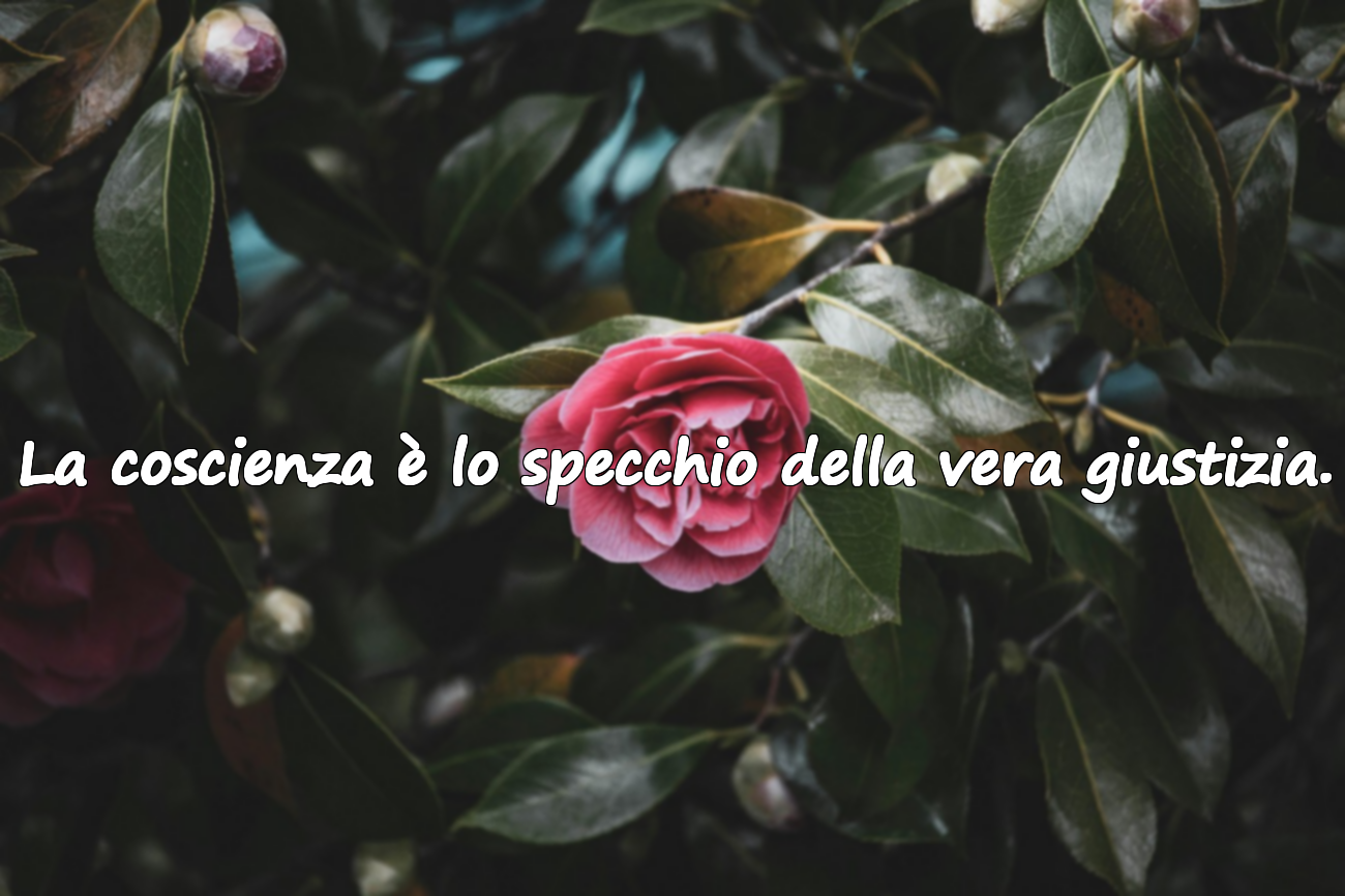 Citazioni sulla coscienza