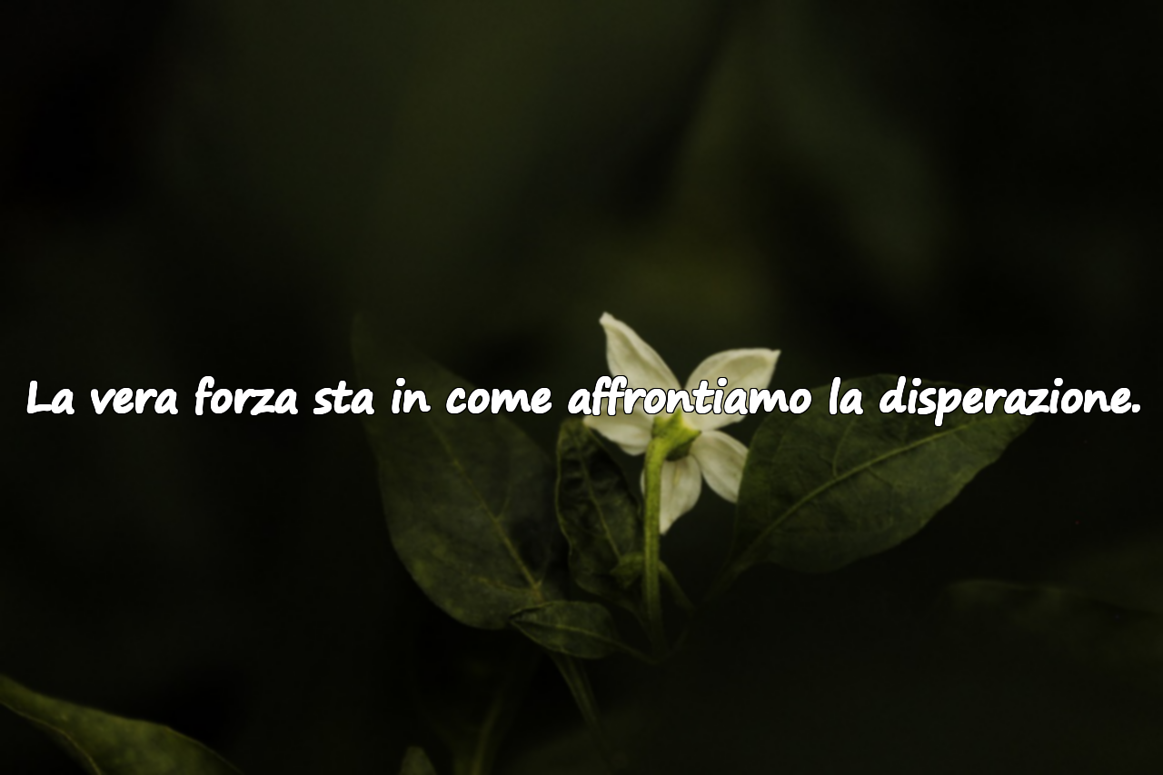 Citazioni sulla disperazione