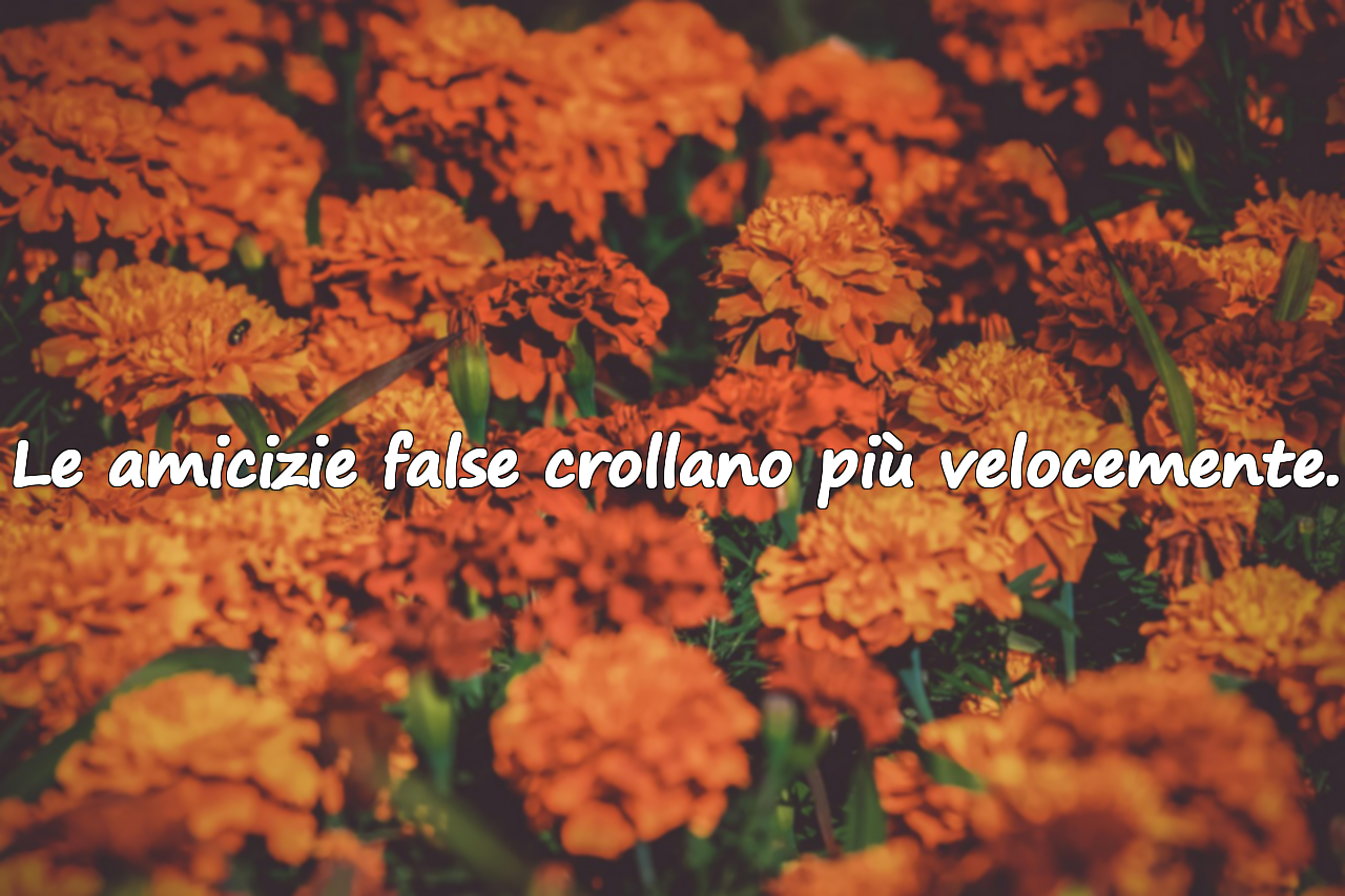 Le amicizie false crollano più velocemente.