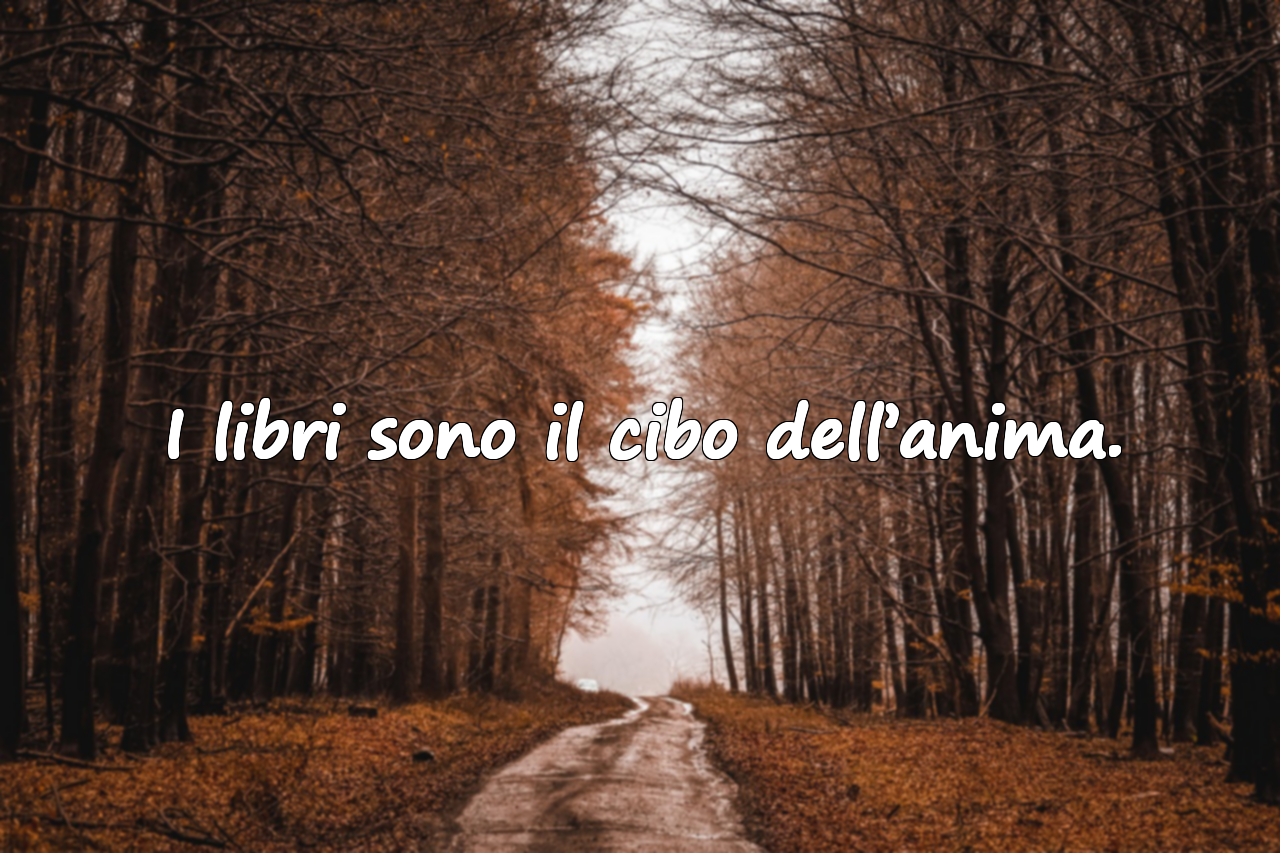 Citazioni sulla letteratura