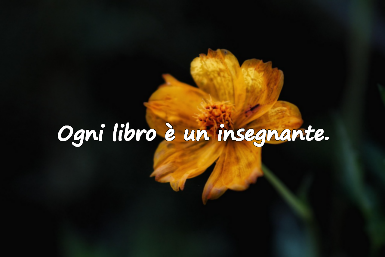 Ogni libro è un insegnante.