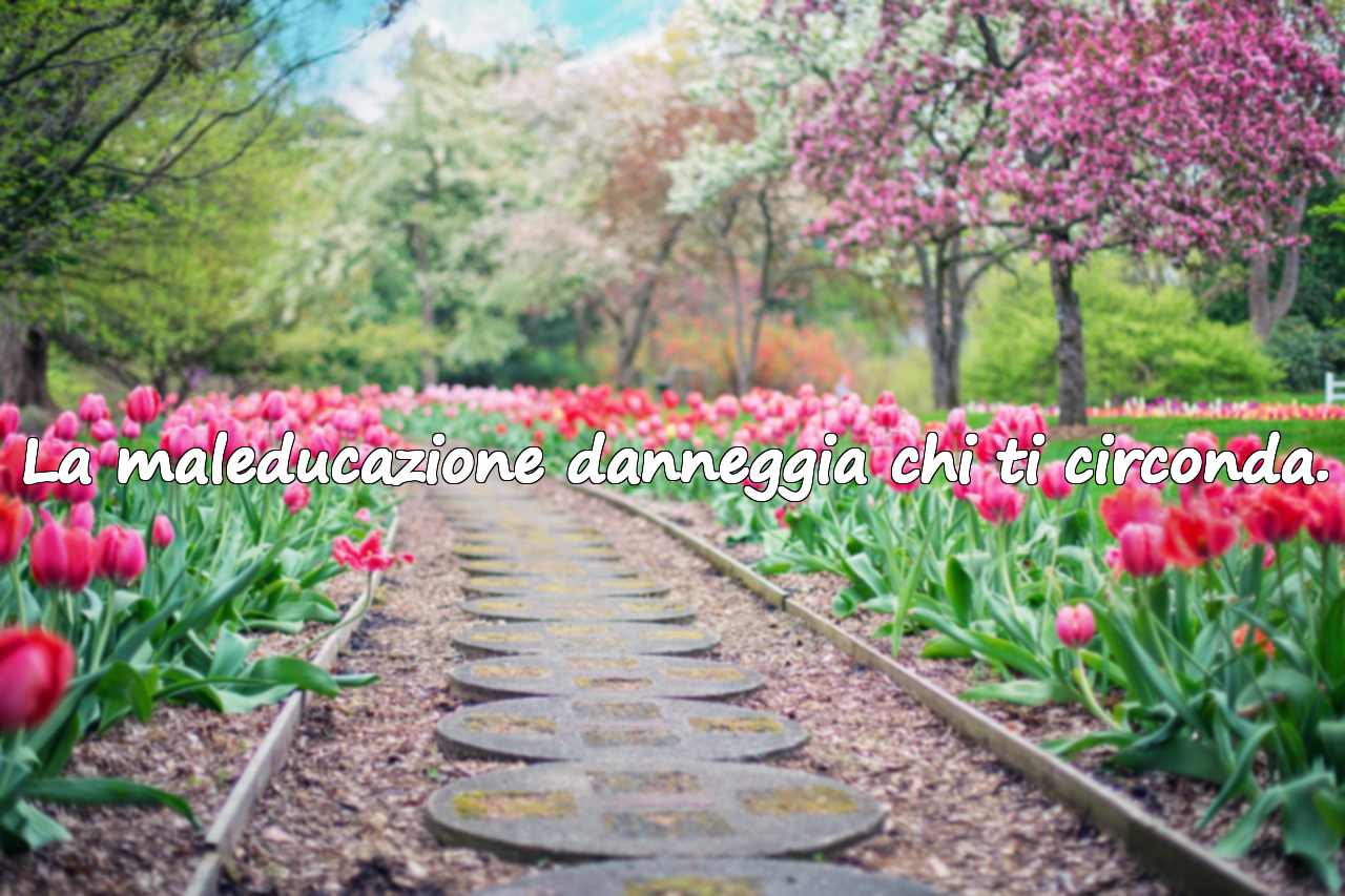 Citazioni sulla maleducazione