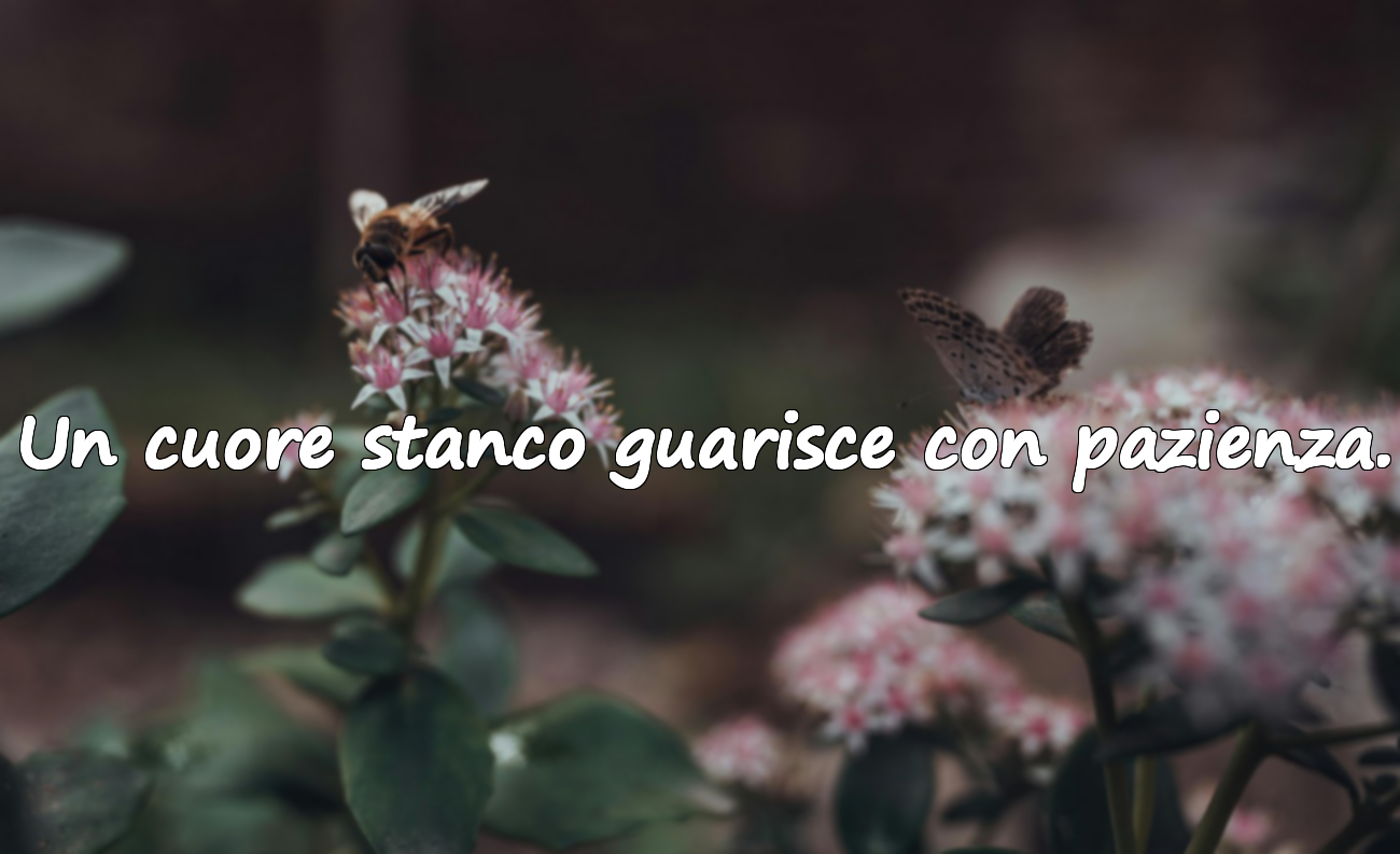 Citazioni sulla stanchezza del cuore