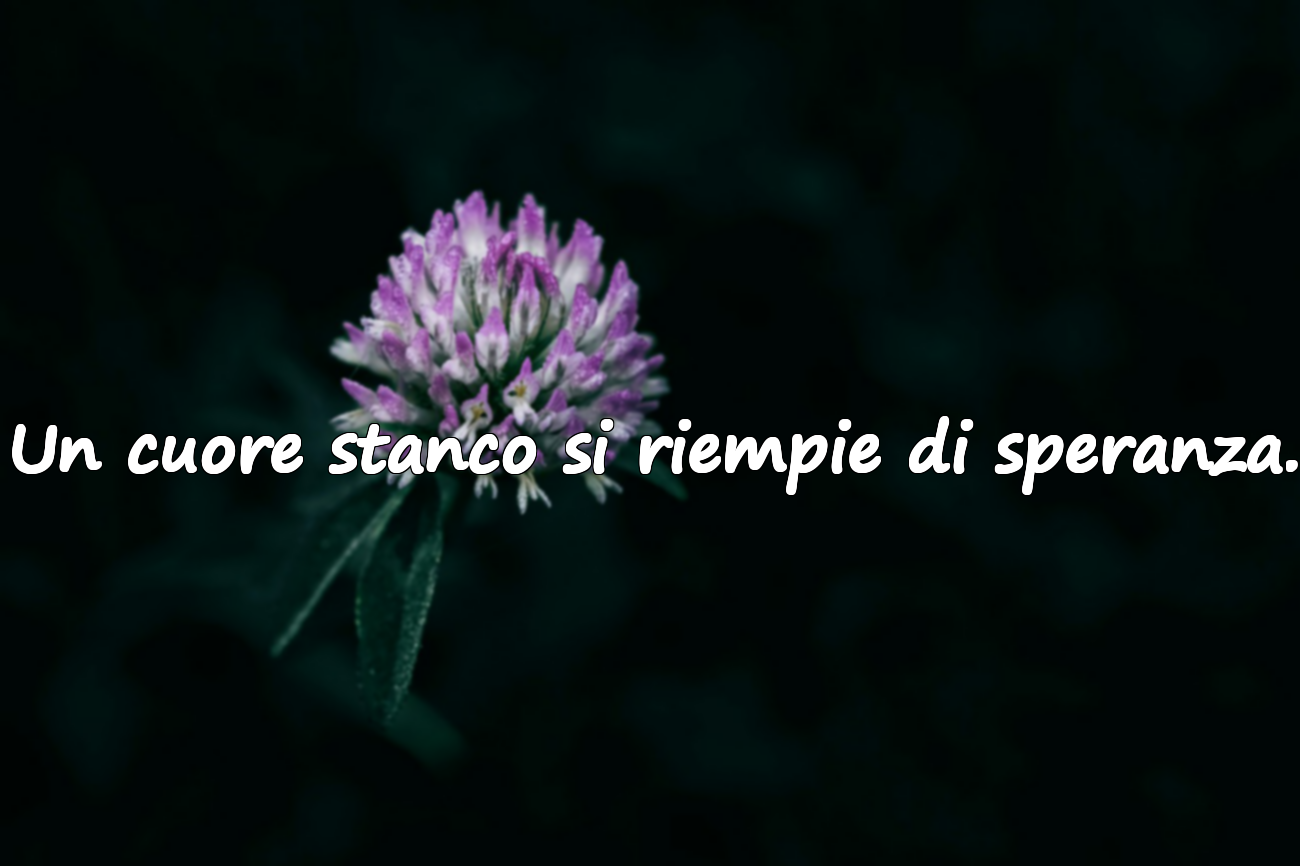 Citazioni sulla stanchezza del cuore