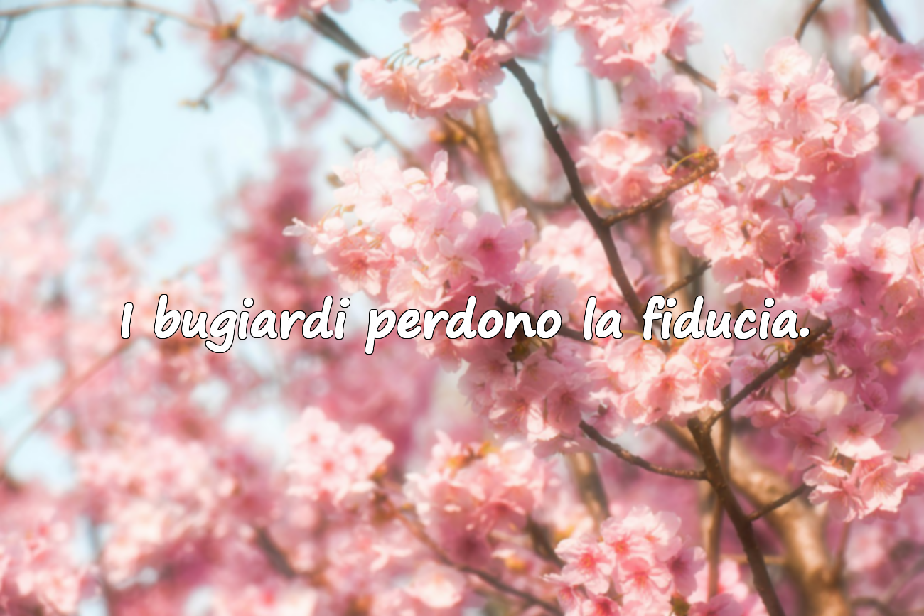 Citazioni sulle bugie