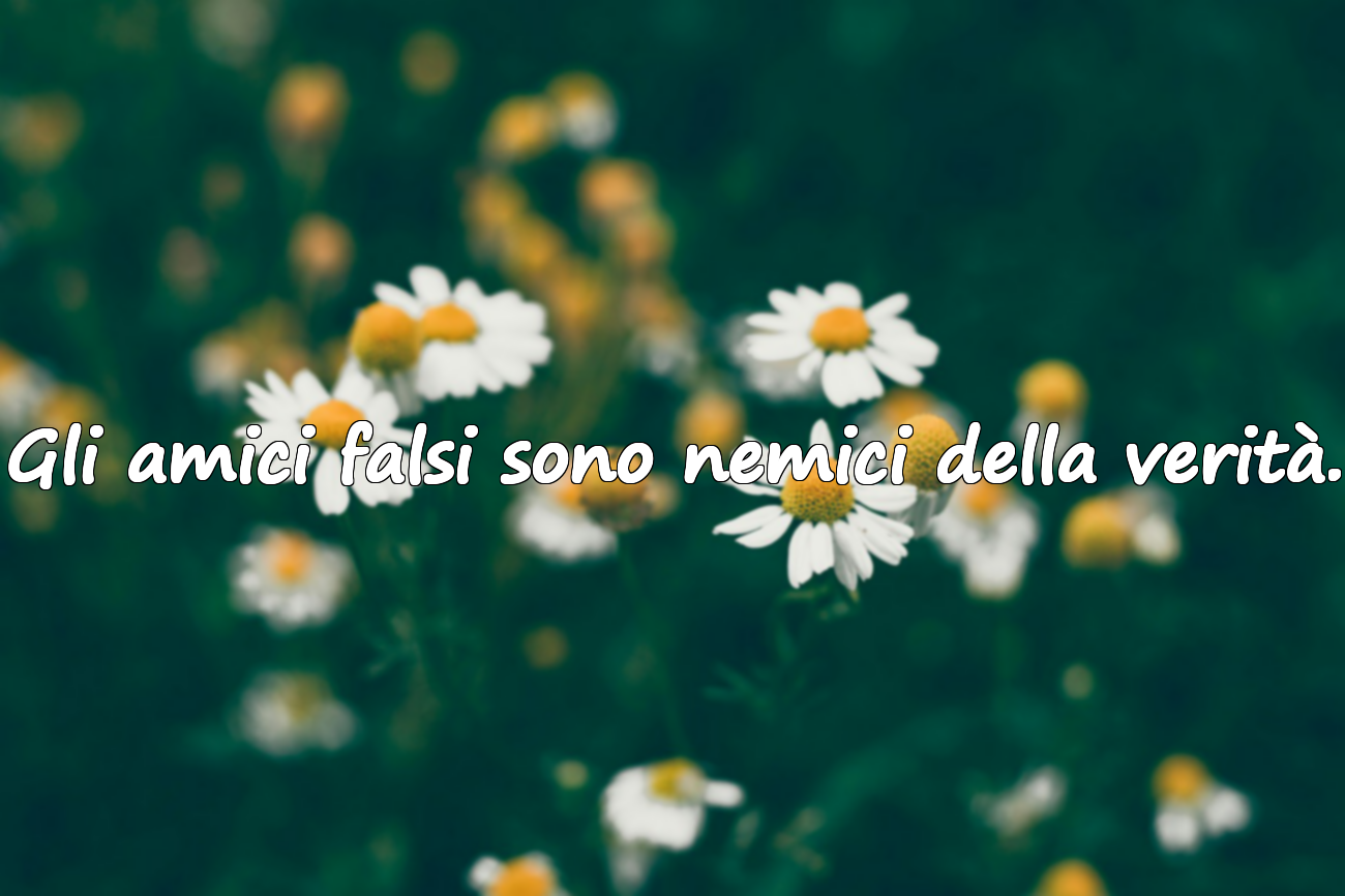 Gli amici falsi sono nemici della verità.