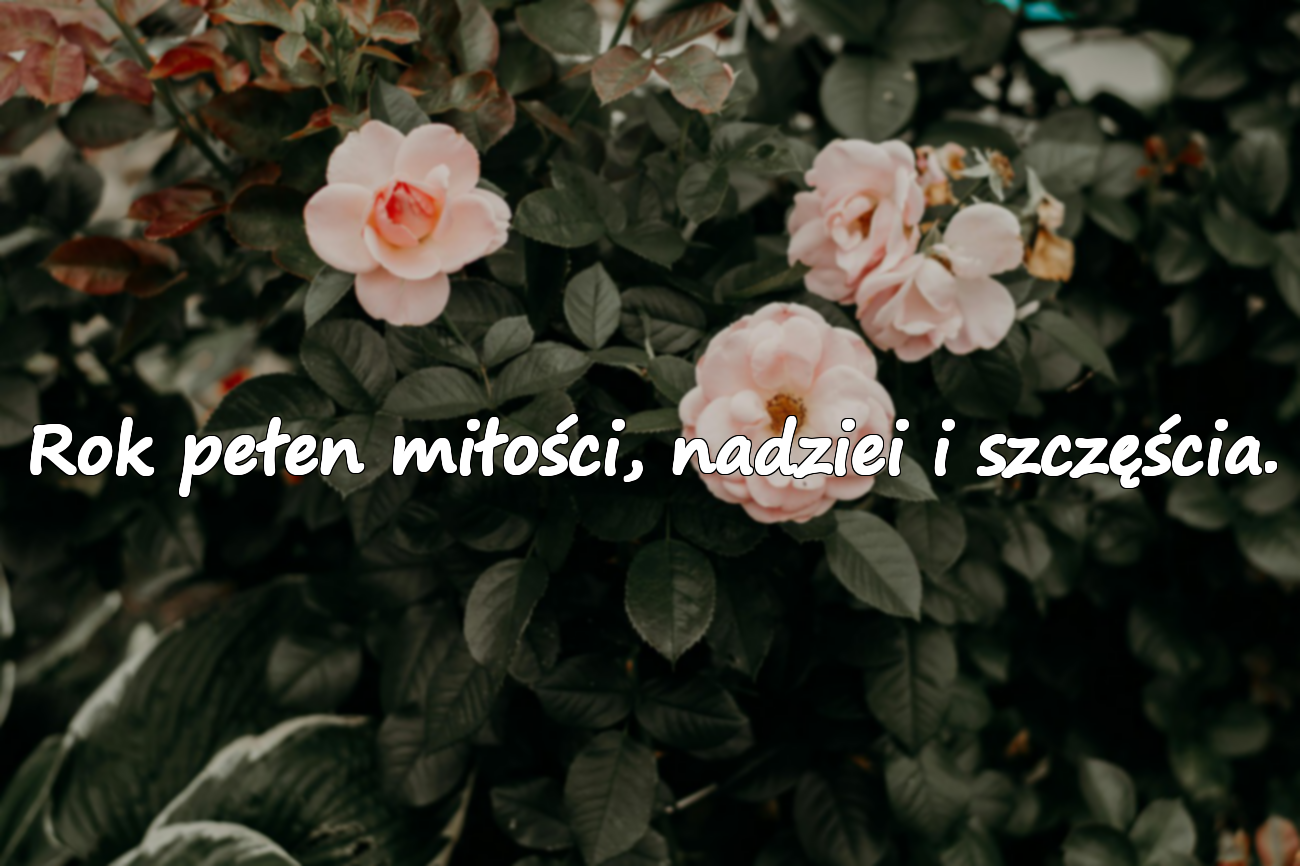 Rok pełen miłości, nadziei i szczęścia.