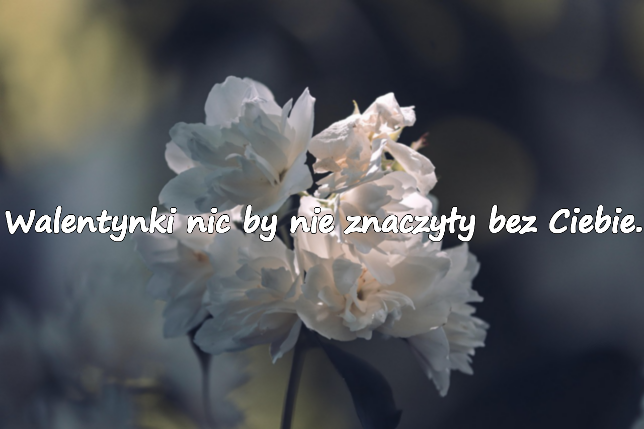 Walentynki nic by nie znaczyły bez Ciebie.
