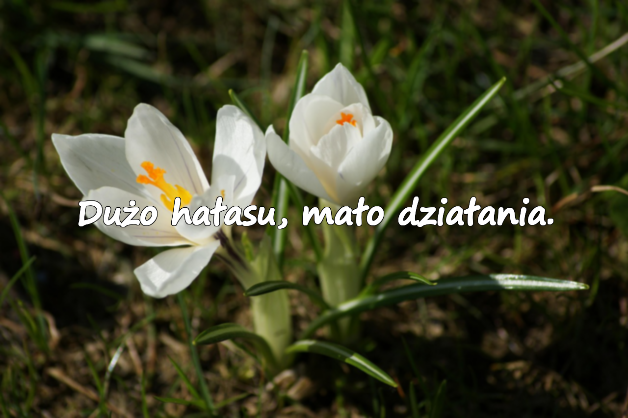 Cytaty o Arogancji