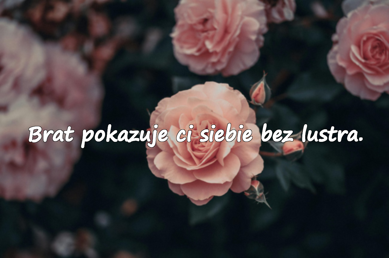 Brat pokazuje ci siebie bez lustra.