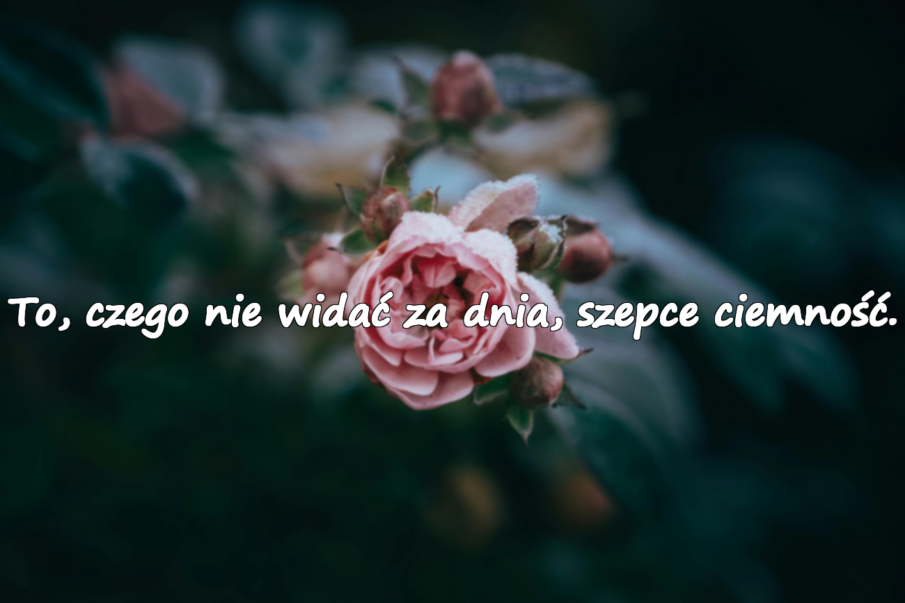 To, czego nie widać za dnia, szepce ciemność.