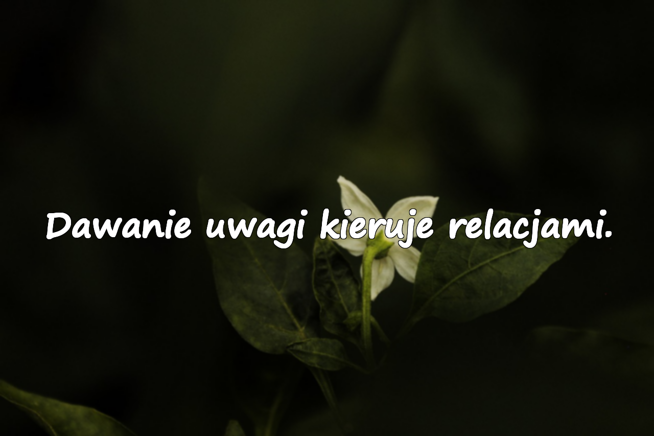 Dawanie uwagi kieruje relacjami.