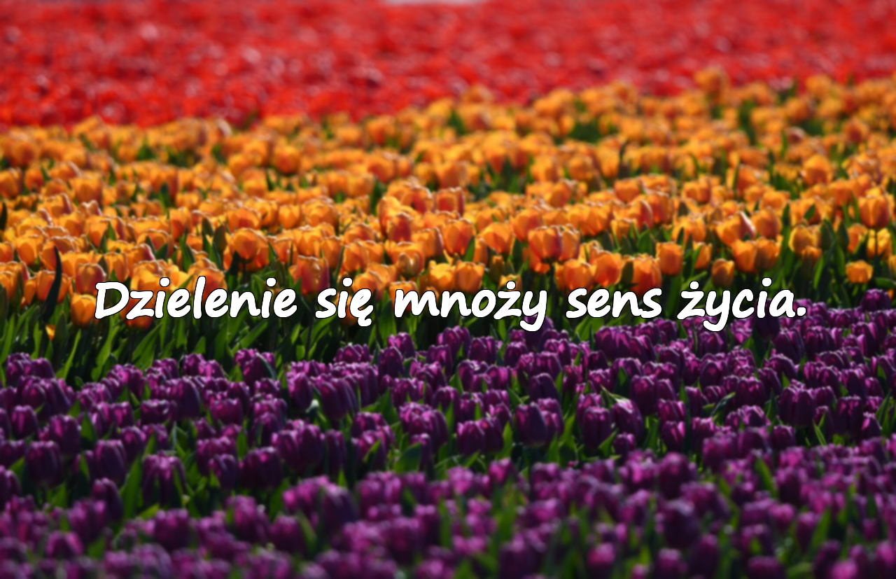 Dzielenie się mnoży sens życia.
