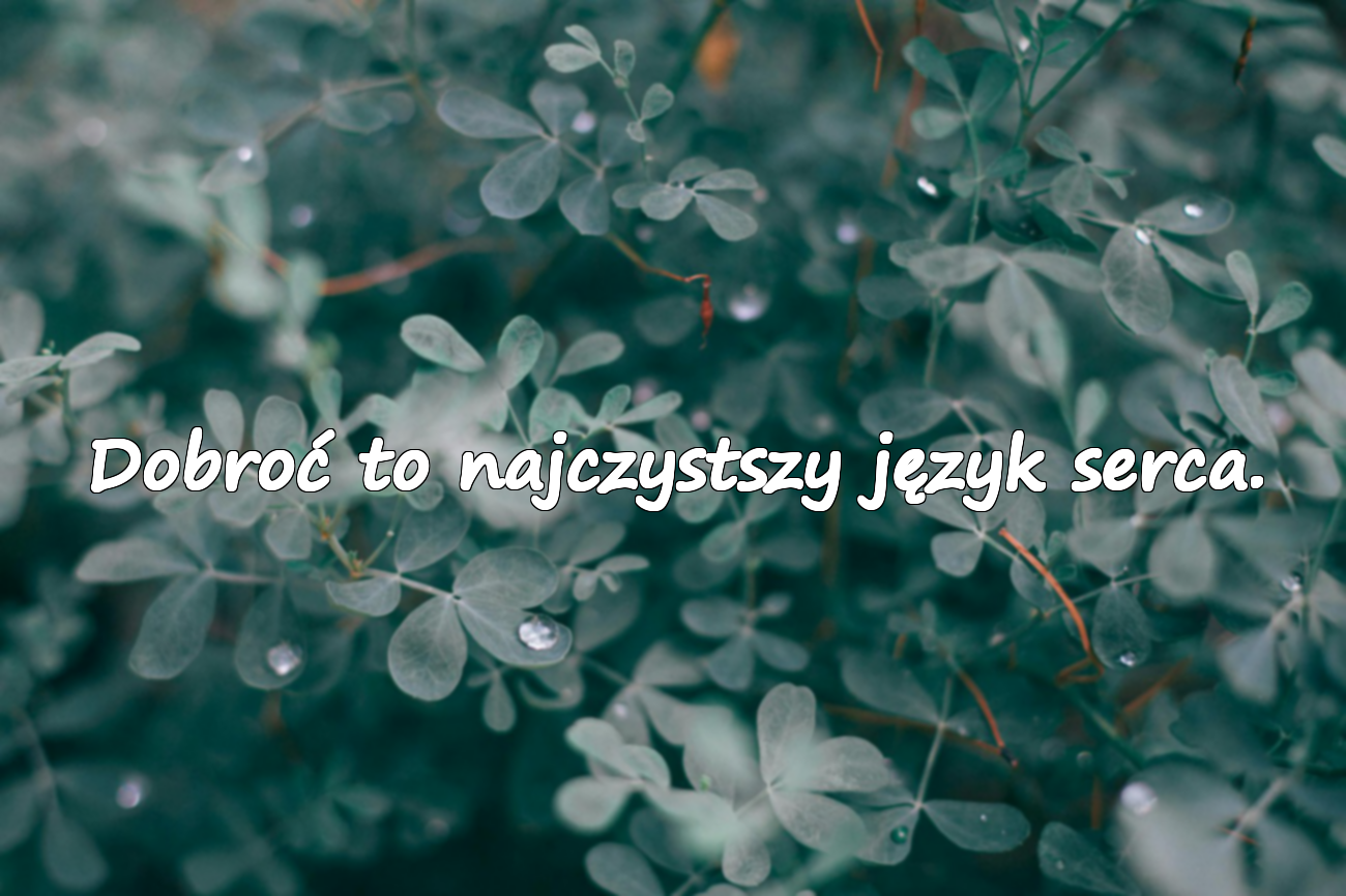 Dobroć to najczystszy język serca.