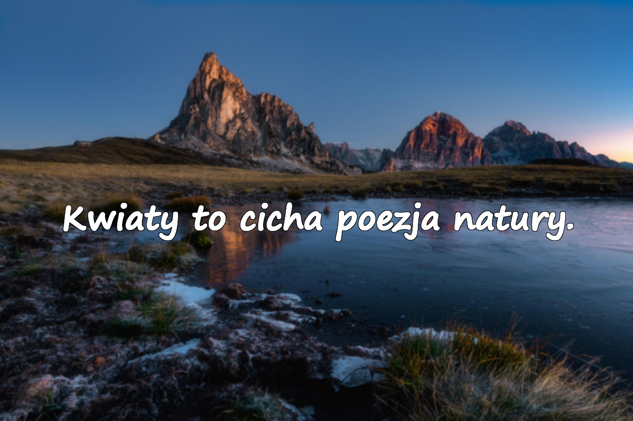 Cytaty o Kwiatach
