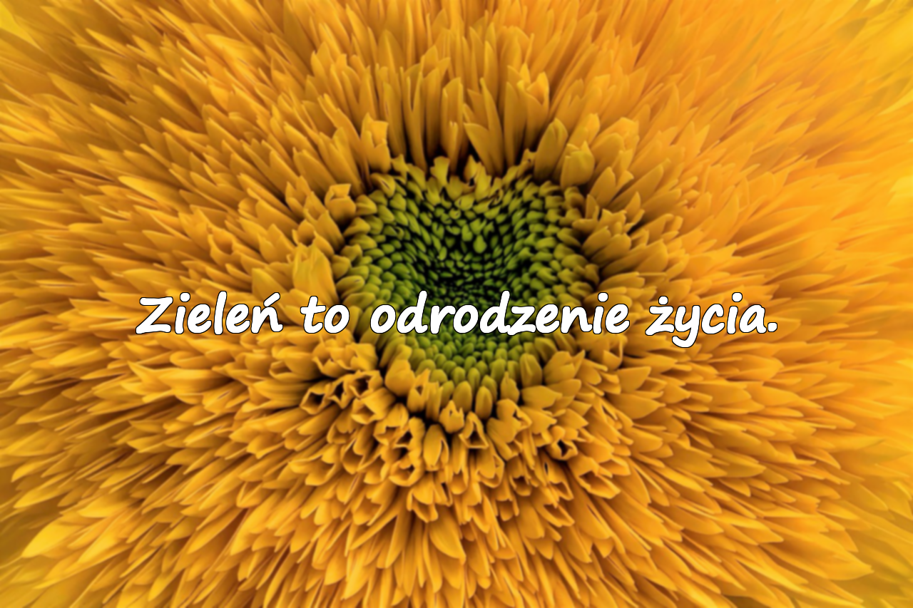 Zieleń to odrodzenie życia.