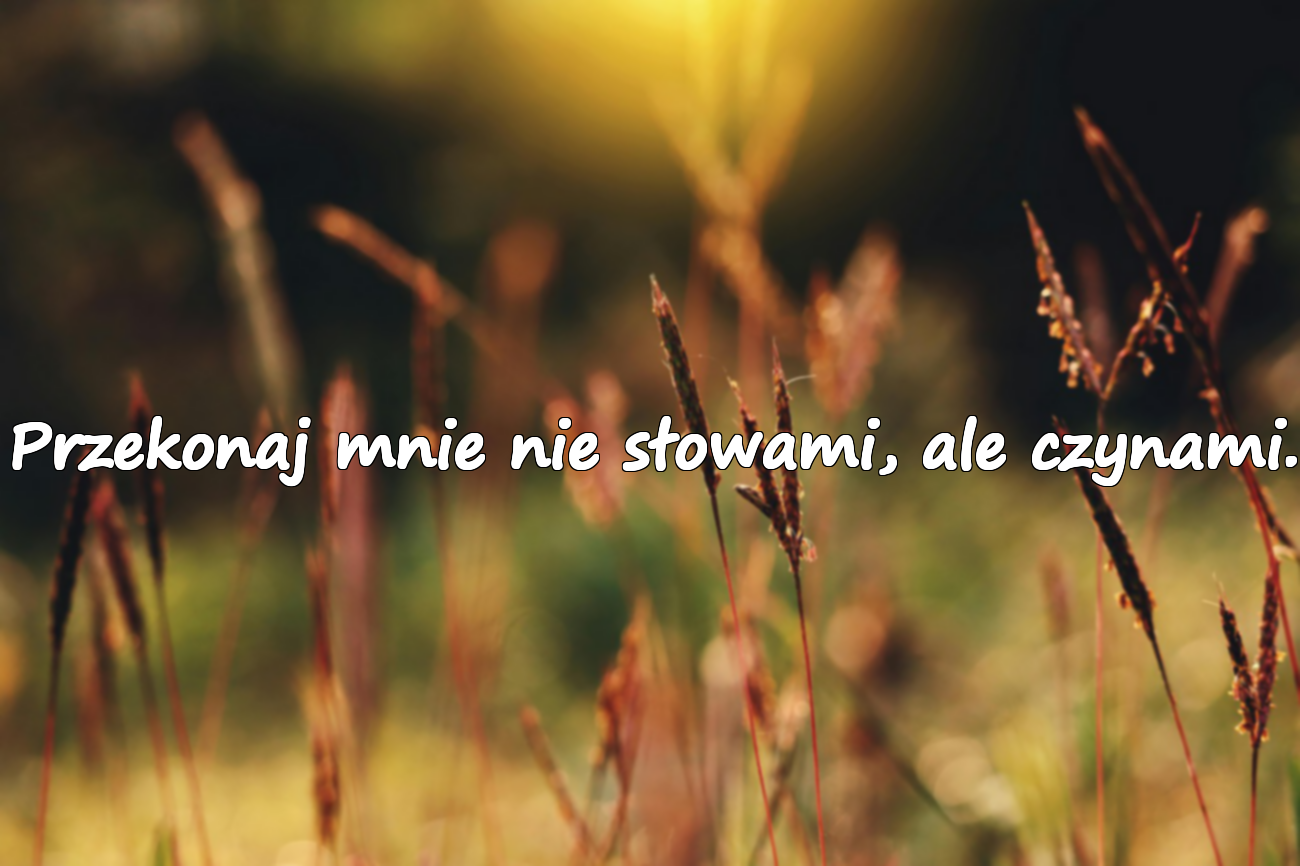 Przekonaj mnie nie słowami, ale czynami.