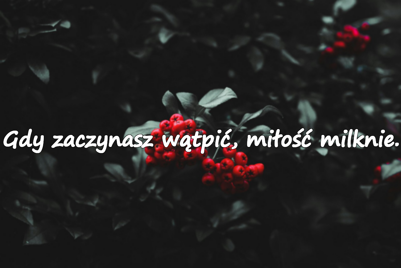 Cytaty o Nieufności