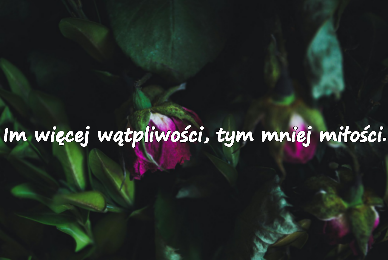 Cytaty o Nieufności