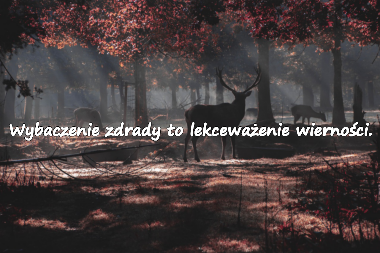 Wybaczenie zdrady to lekceważenie wierności.