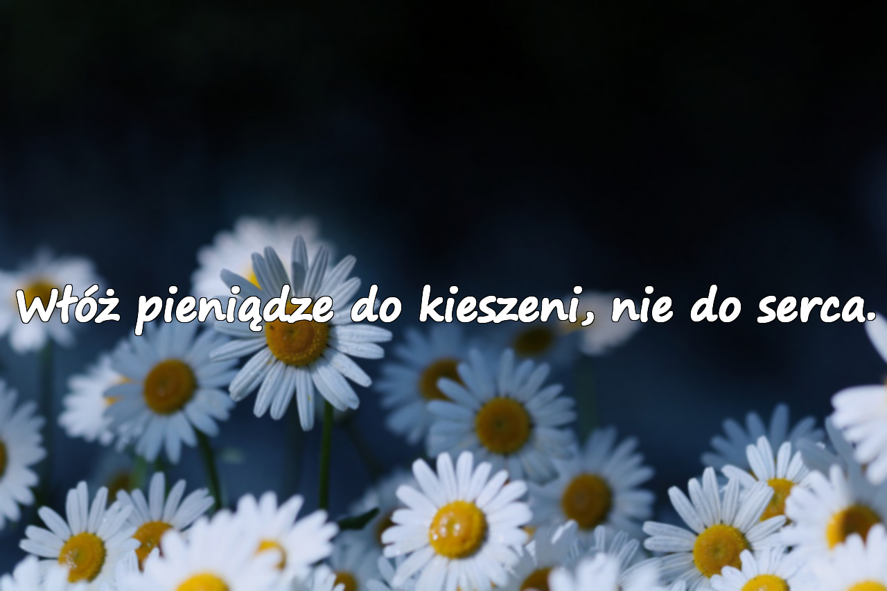 Włóż pieniądze do kieszeni, nie do serca.