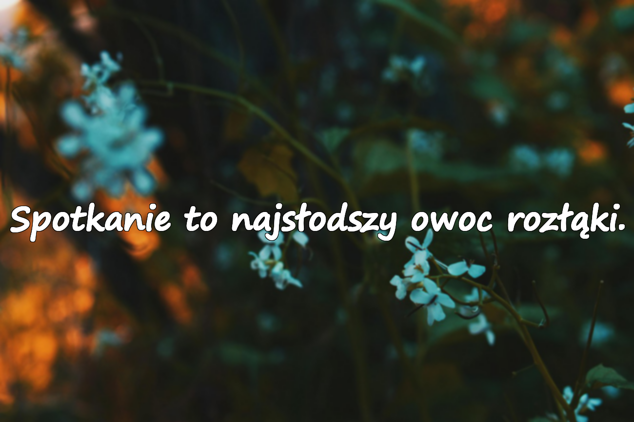 Spotkanie to najsłodszy owoc rozłąki.