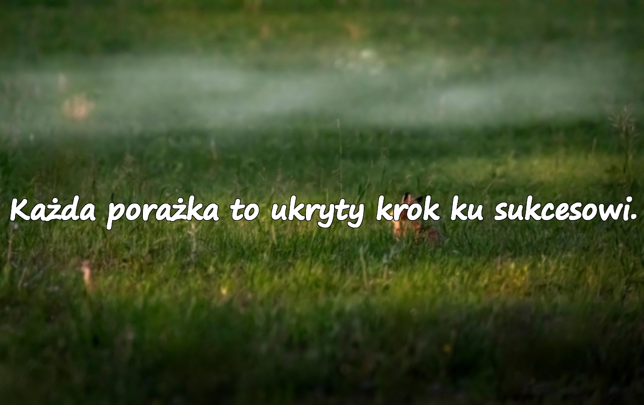 Cytaty o Przedsiębiorczości