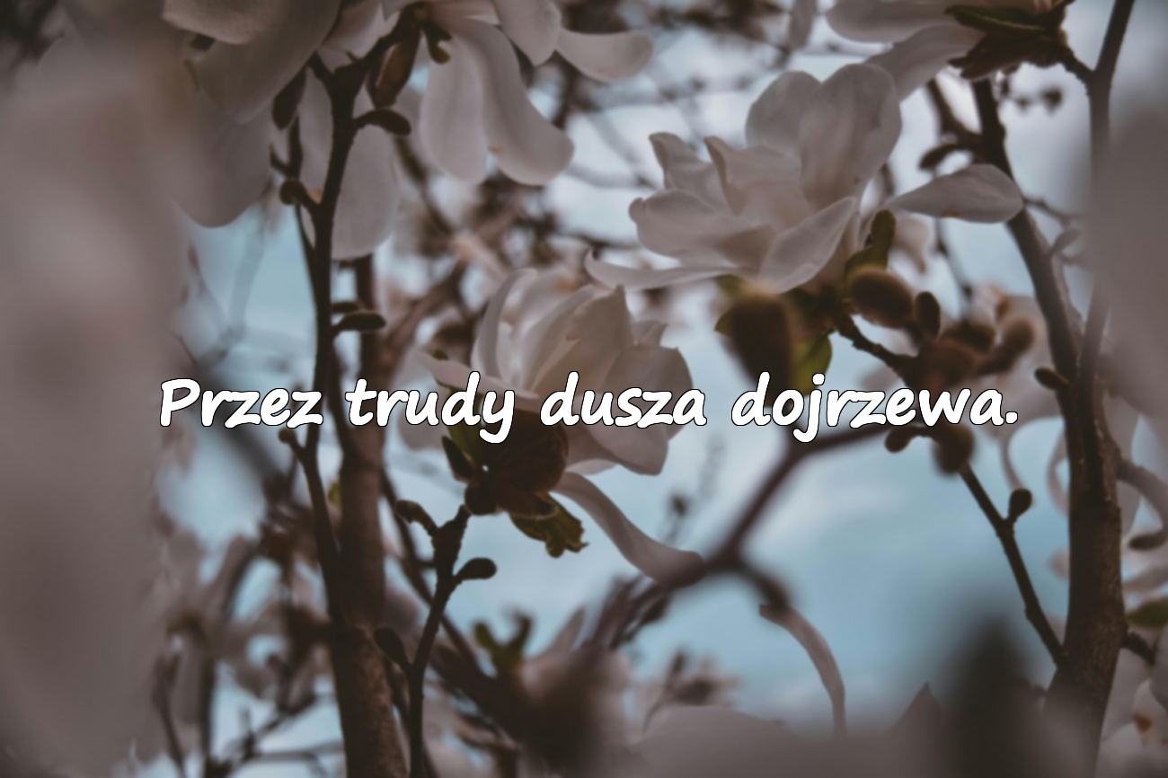 Przez trudy dusza dojrzewa.