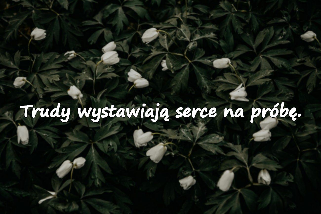 Cytaty o Trudach
