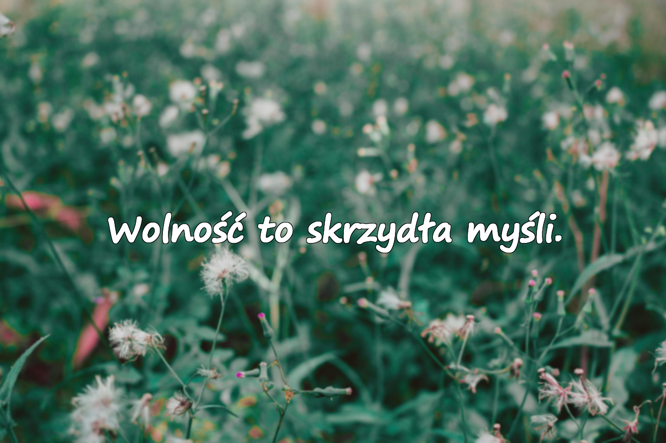 Wolność to skrzydła myśli.