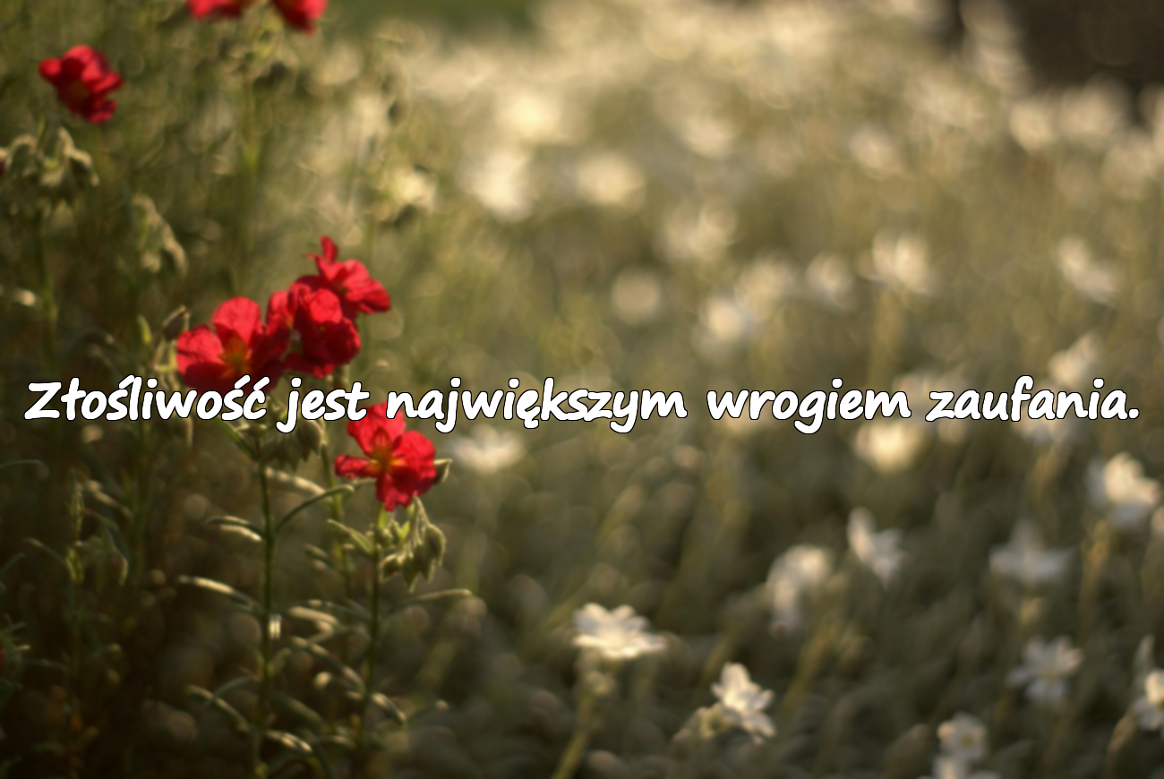 Cytaty o Złośliwości