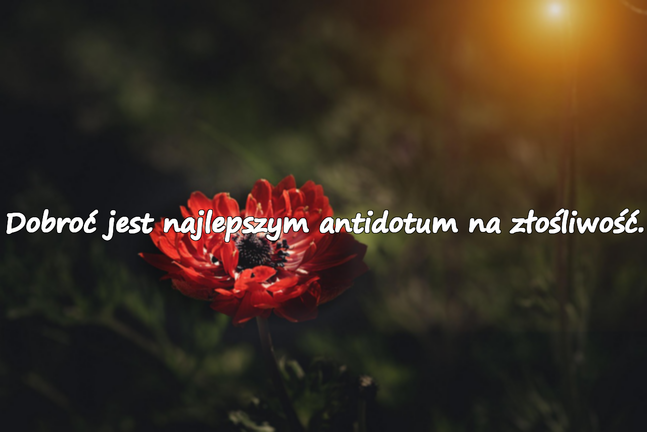 Cytaty o Złośliwości
