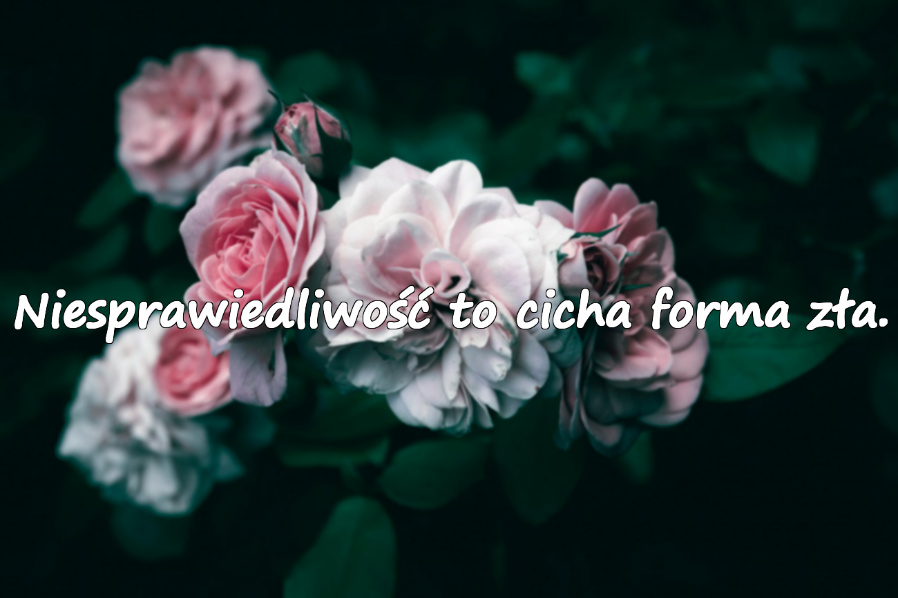 Niesprawiedliwość to cicha forma zła.