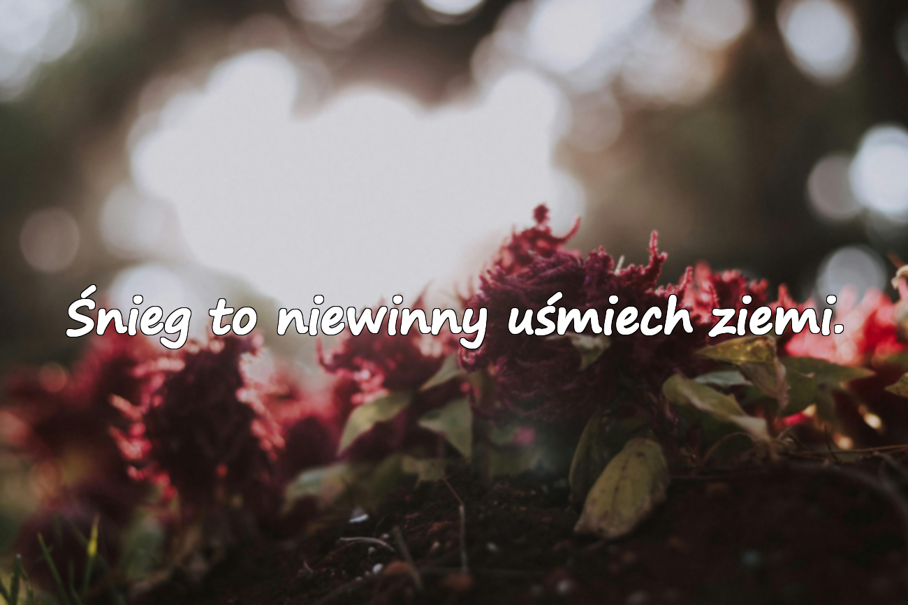 Śnieg to niewinny uśmiech ziemi.