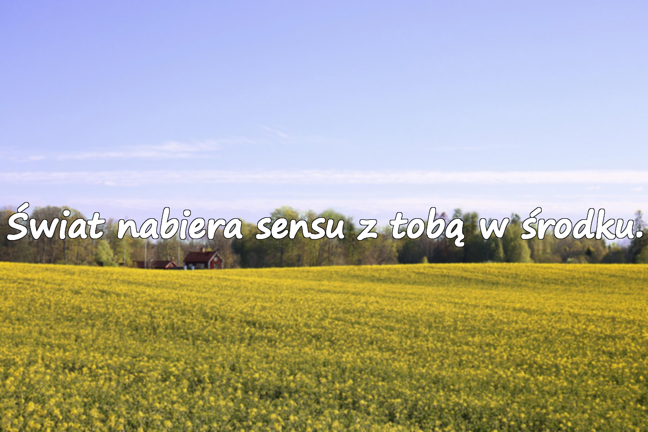Cytaty o świecie