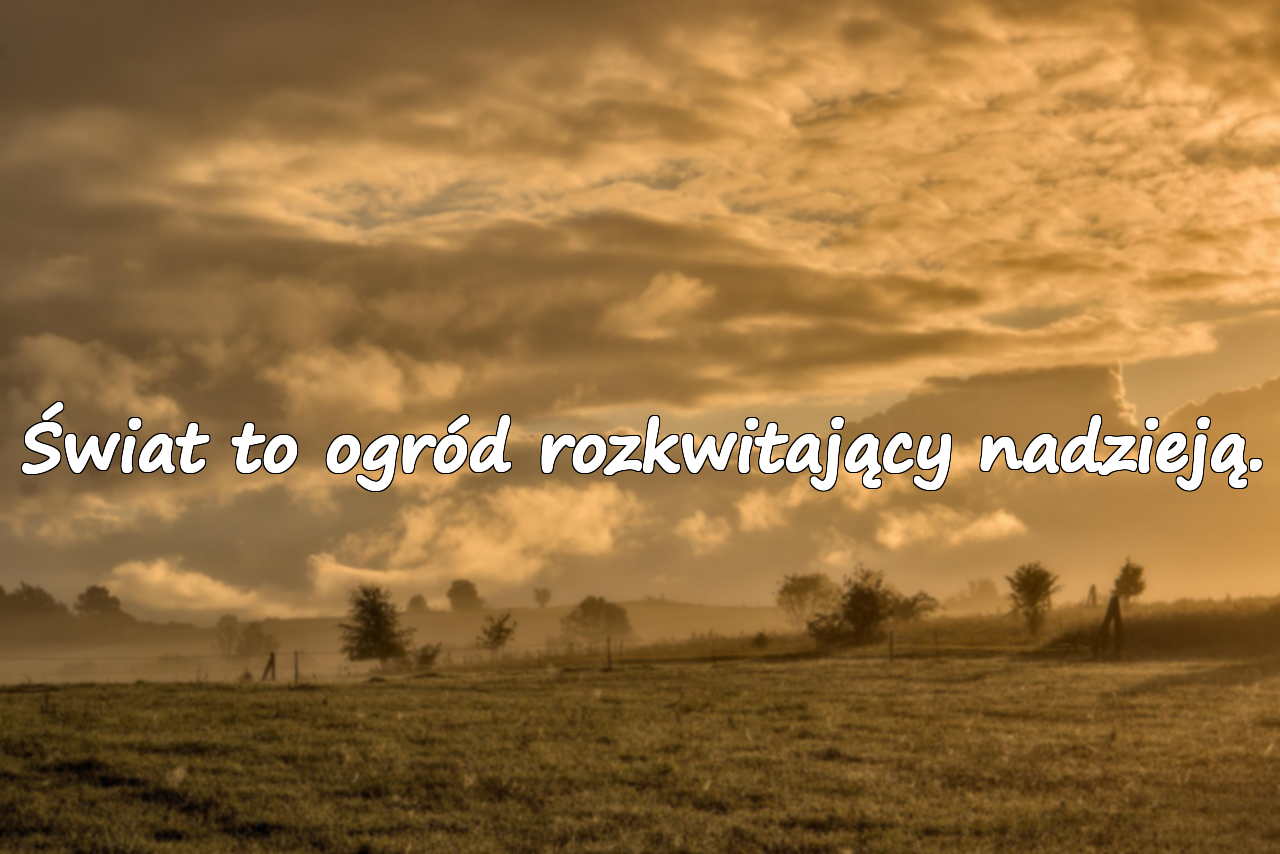 Cytaty o świecie