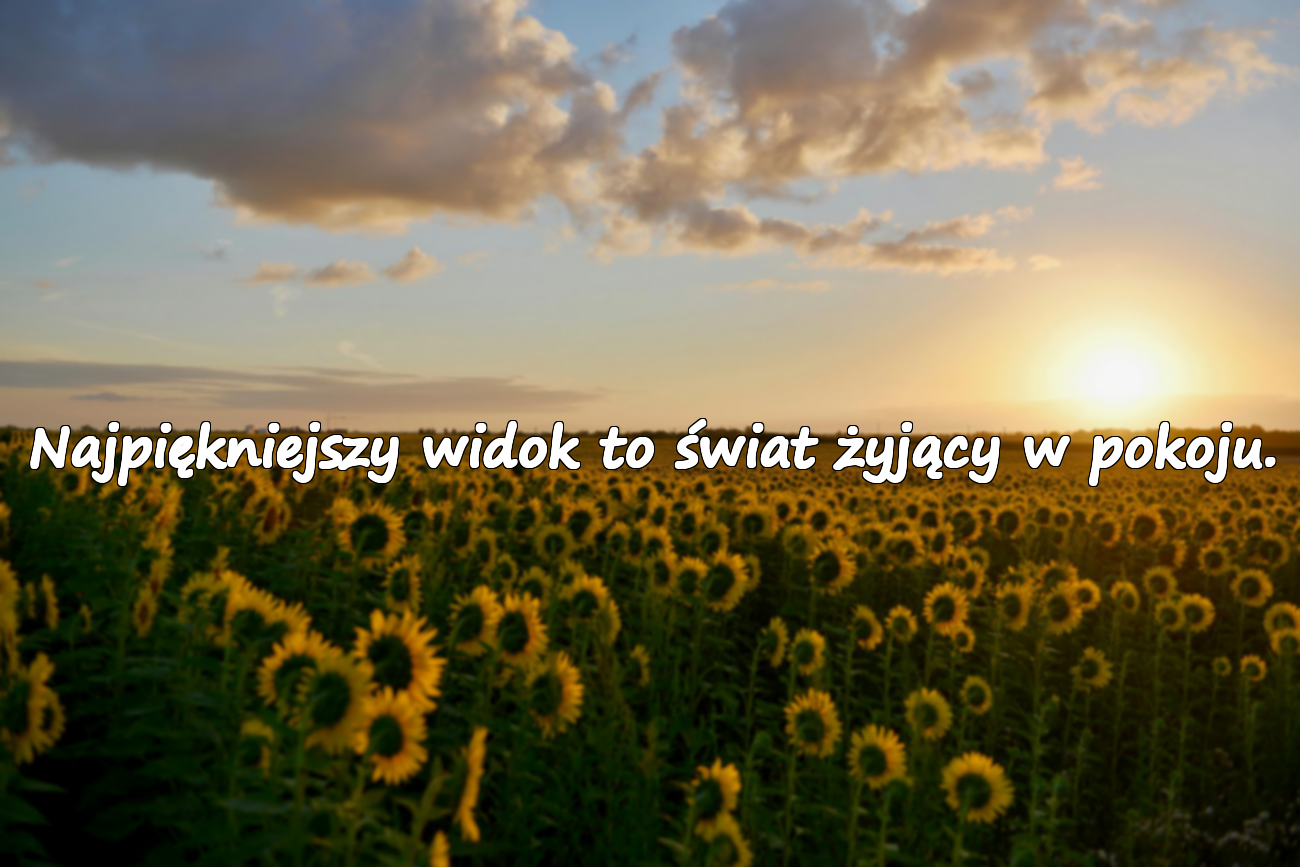 Cytaty o świecie